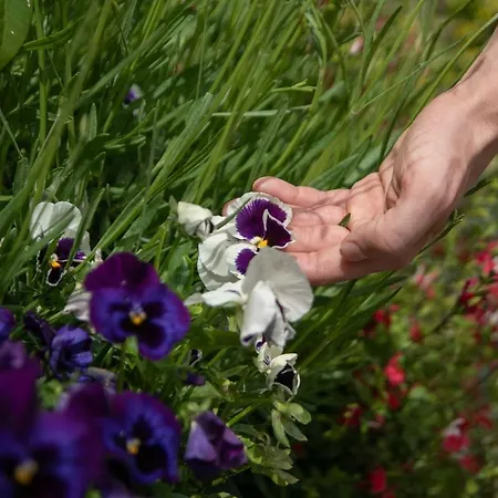 Maison Montespan * Paris